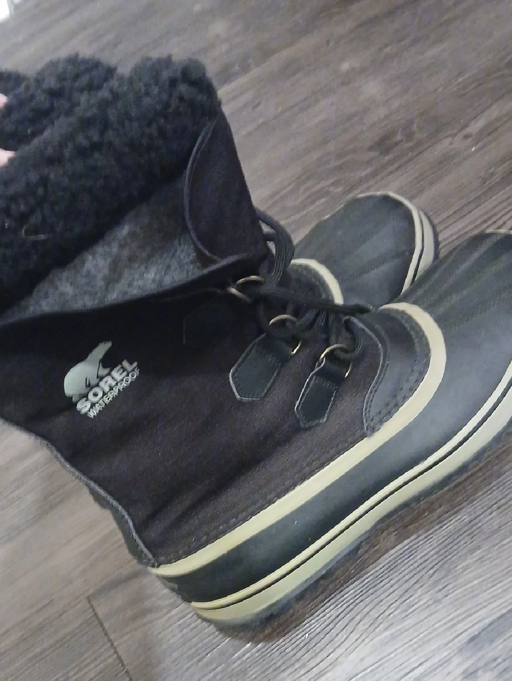 Sorel *great